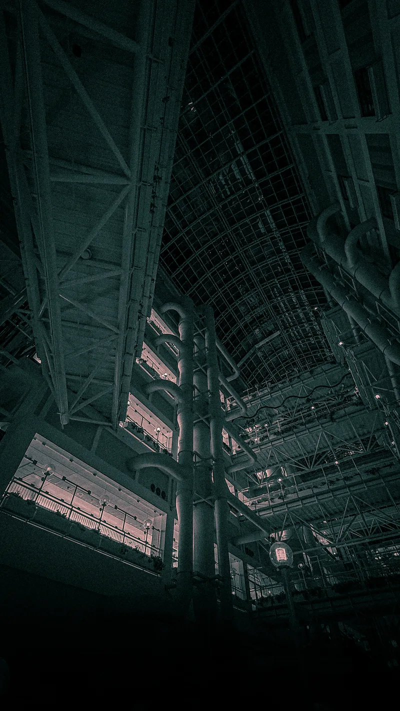 img 0137