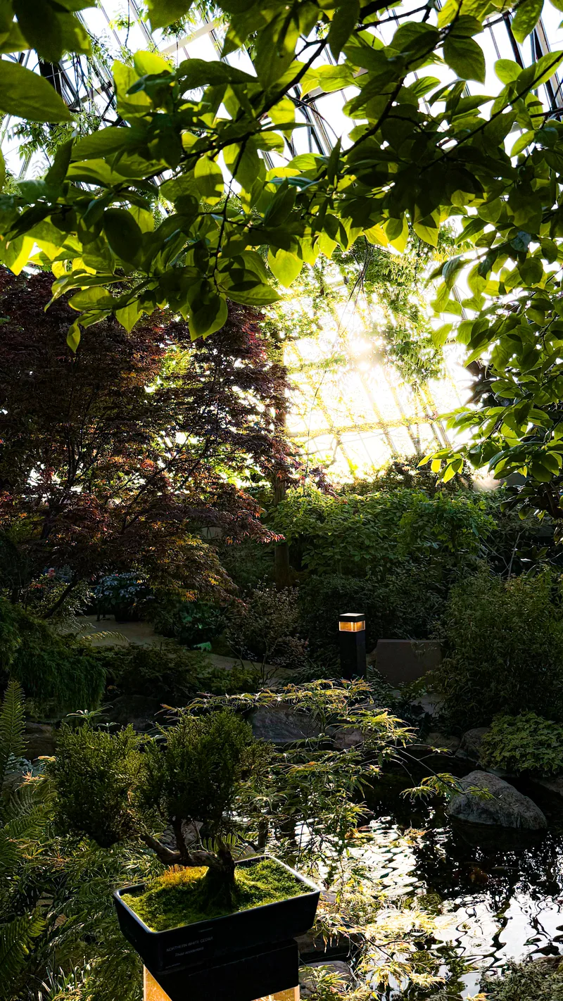 img 3666